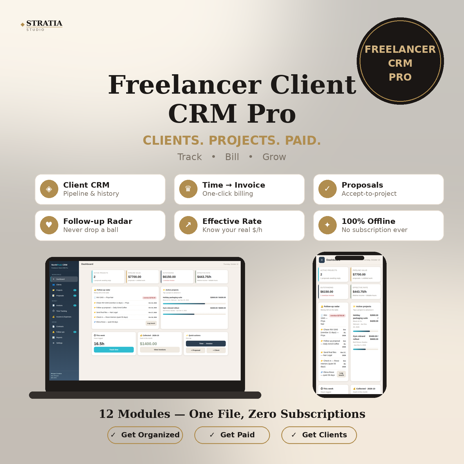 Freelancer Client CRM Pro