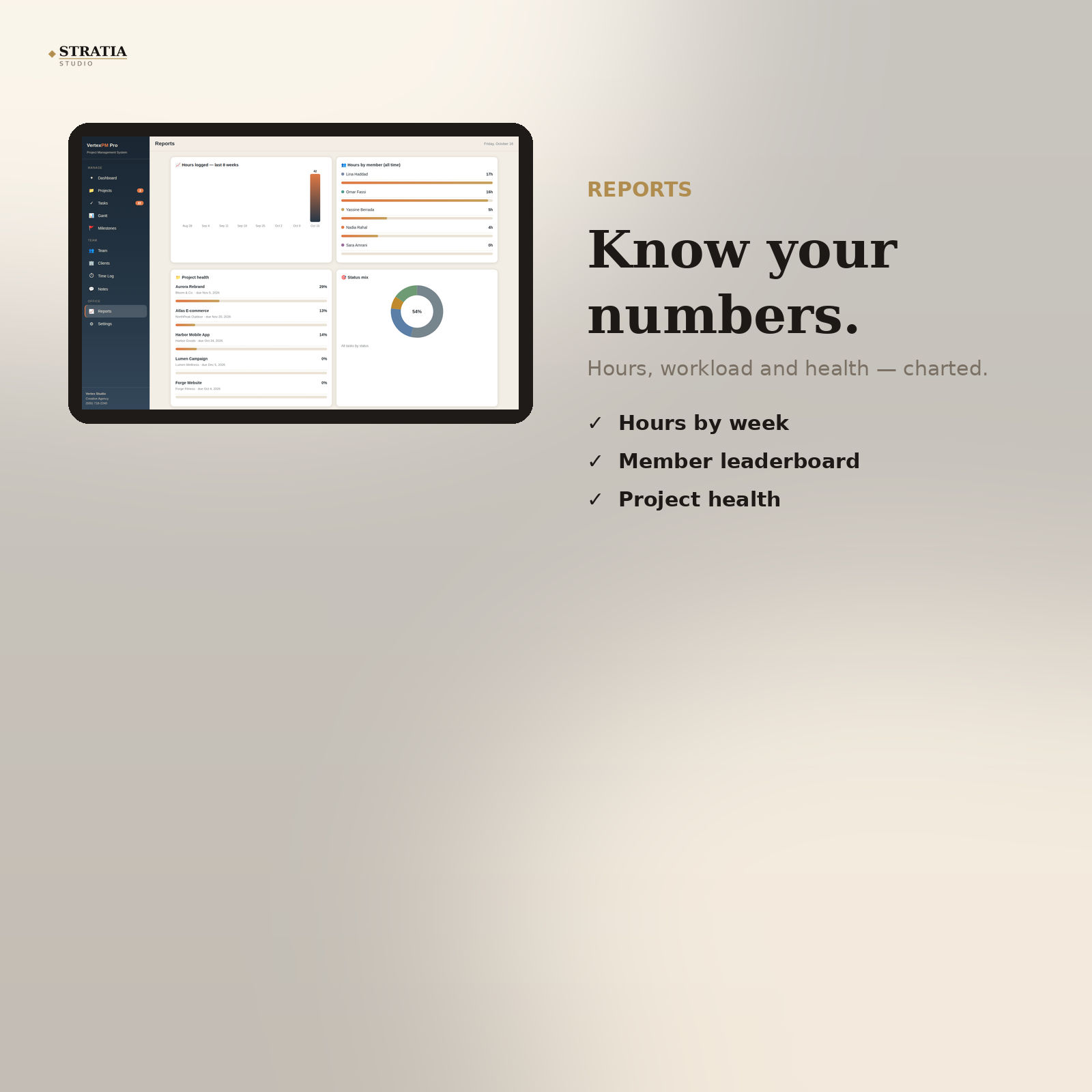 Project Management System Pro - Image 4